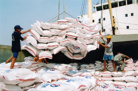  Giá sàn gạo xuất khẩu tiếp tục giảm