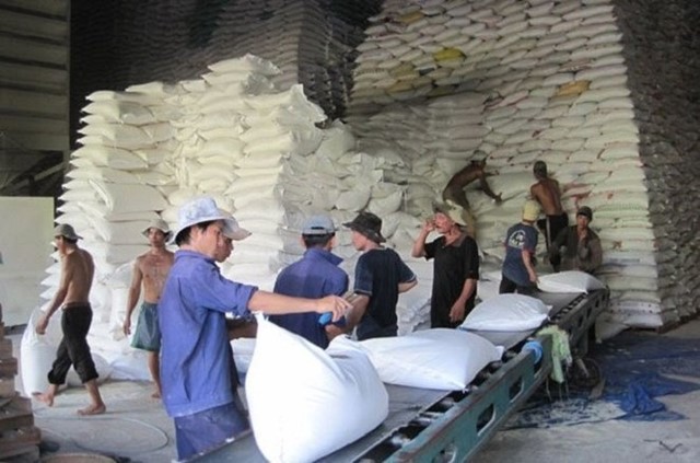 Giá gạo xuất khẩu giảm xuống dưới giá sàn