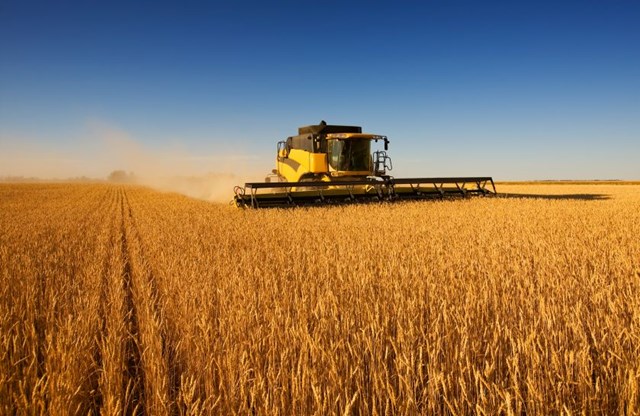 Nghịch lý TPP và cách bảo hộ ngành nông nghiệp của người Mỹ