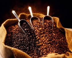 Giá cà phê Tây Nguyên giảm 2 triệu đồng/tấn trong tháng