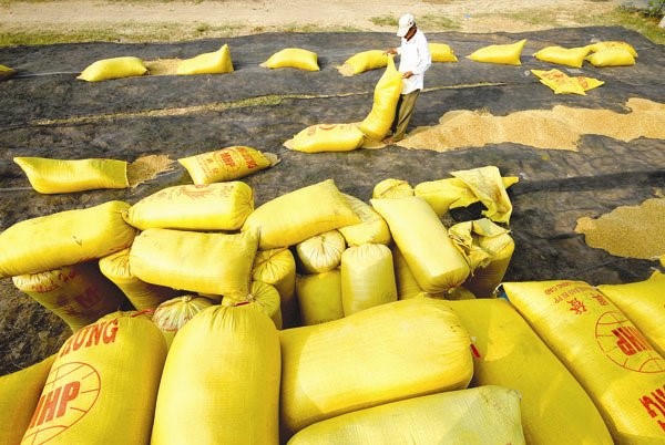 Cuộc đua bán gạo cho Philippines 