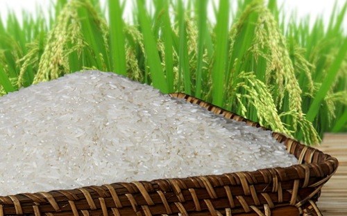Nhân dân tệ suy yếu có thể tác động đến giá gạo Việt Nam