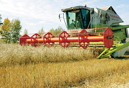 Macquarie: Giá nông sản thế giới sẽ còn tiếp tục giảm
