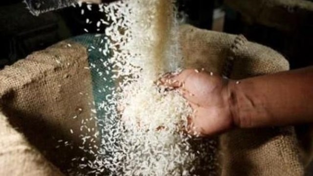 Ai Cập tạm bỏ lệnh cấm xuất khẩu gạo