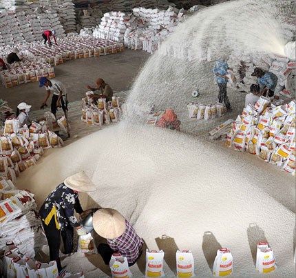 Indonesia đính chính kế hoạch mua 1 triệu tấn gạo Việt Nam 