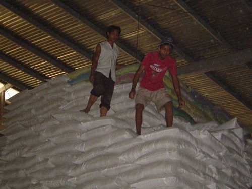 Xuất khẩu gạo cấp thấp của Việt Nam bị cạnh tranh quyết liệt
