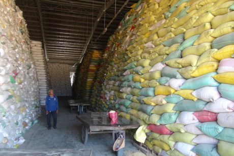 Indonesia chính thức chấp nhận nhập khẩu gạo từ Việt Nam 