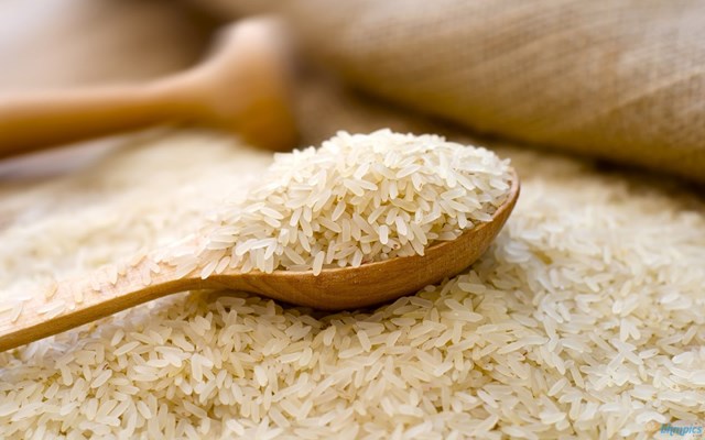 Tổng hợp tin thị trường gạo ngày 23/9: Việt Nam tăng sàn giá xuất khẩu gạo