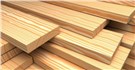 Ấn Độ công bố thông tin kết luận điều tra vụ việc chống bán phá giá mặt hàng gỗ