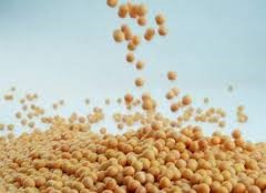 Giá khô đậu tương kỳ hạn tại CBOT ngày 18/5/2016