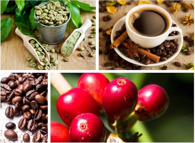 Toàn cảnh ngành công nghiệp cà phê ASEAN phát triển mạnh