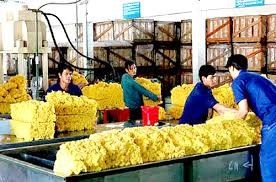 Cuối năm 2018, cao su xuất khẩu sang Thụy Điển tăng đột biến