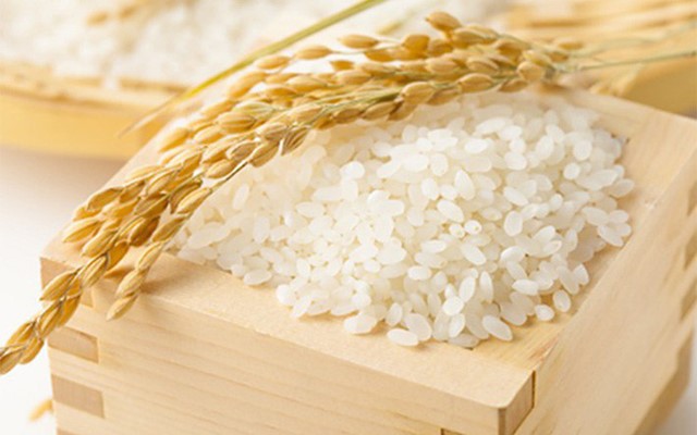 Xuất khẩu gạo trong tháng 2/2019 sang Ba Lan tăng đột biến cả về lượng và trị giá