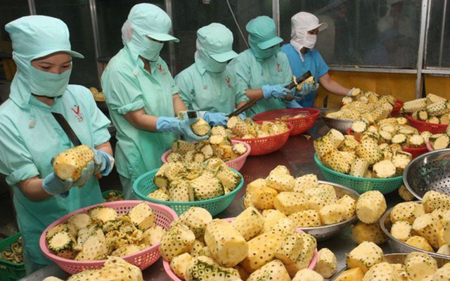Việt Nam là TT bù đắp sự thiếu hụt hàng hóa cho Singapore giữa đại dịch COVID-19