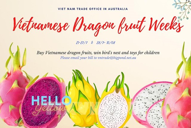 Thanh long Việt Nam ngày càng được ưa chuộng tại Australia