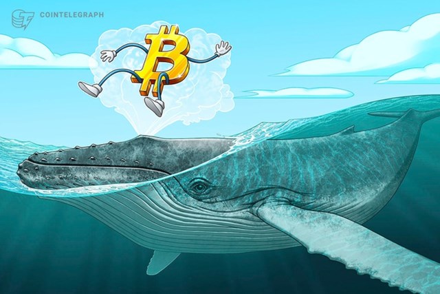 'Cá voi' tiếp tục bơm tiền vào Bitcoin