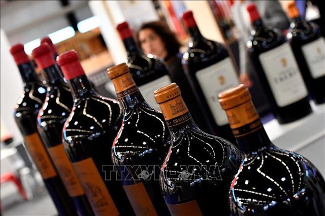 Sản lượng rượu vang Pháp có thể giảm tới 30% trong năm nay