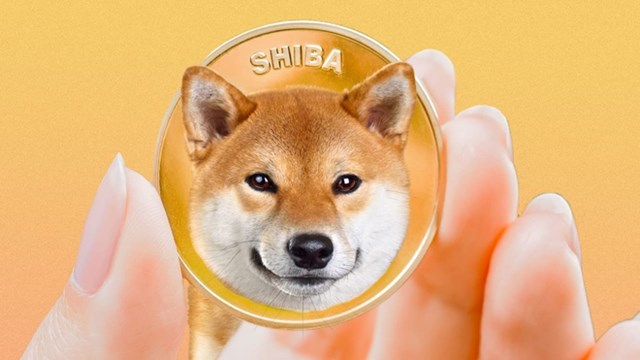 Hồ sơ Shiba Inu, tiền mã hóa vừa vượt mặt Dogecoin
