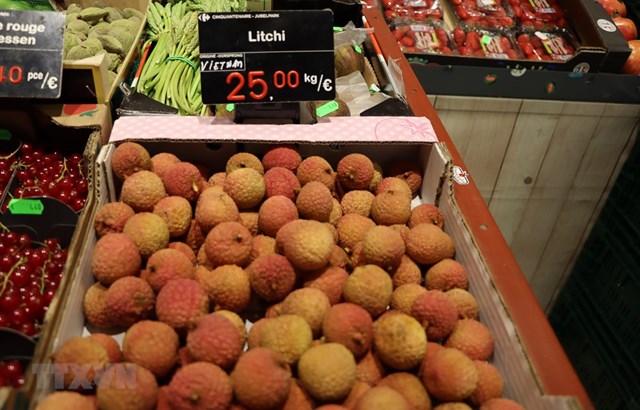 Thị trường EU vẫn còn nhiều dư địa cho trái cây Việt Nam