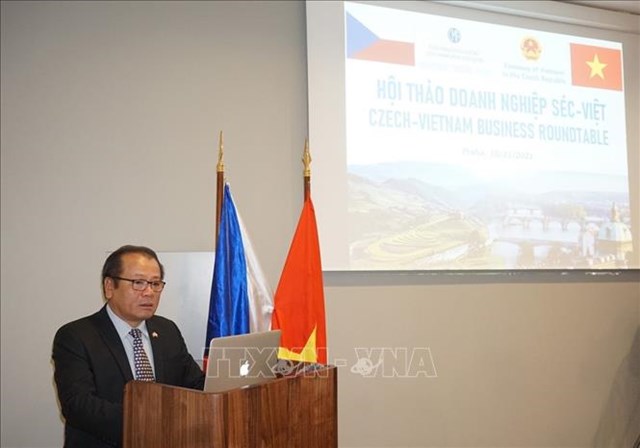 Hội thảo doanh nghiệp Séc-Việt thúc đẩy phát huy hiệu quả EVFTA