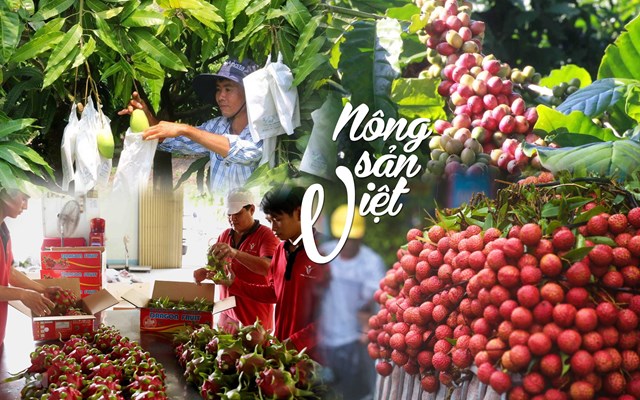 Đưa nông sản Việt Nam sang Mỹ: Cần lựa chọn sản phẩm phù hợp