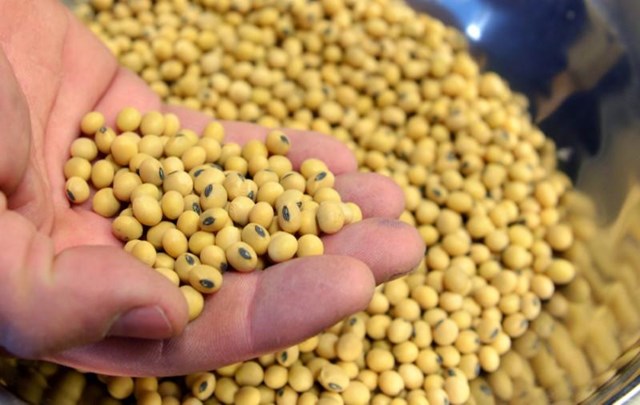 Tin MXV sáng 27/4: Diễn biến gieo trồng kéo giá nông sản tăng mạnh trong phiên hôm qua