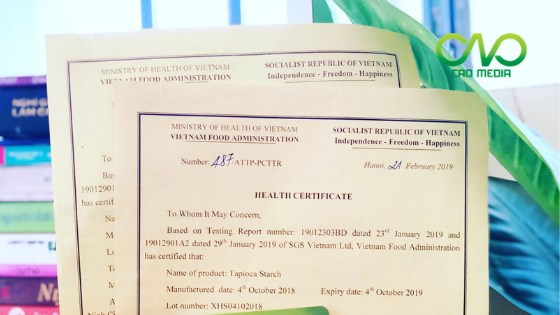 Thuỵ Điển – thay đổi giấy chứng nhận sức khoẻ (health certificate) cho các sản phẩm từ gỗ