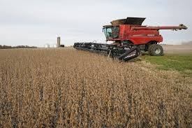 Tin MXV sáng 13/5: Giá nông sản khởi sắc sau Báo cáo Cung cầu tháng 5 của Bộ Nông nghiệp Mỹ
