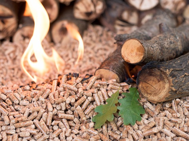 Công ty Áo tìm kiếm nhà sản xuất viên nén gỗ