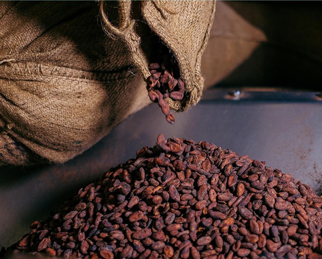 Giá cacao tăng vọt ảnh hưởng đến socola cho dịp Phục sinh