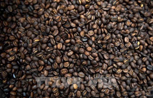 Tầng lớp trung lưu tại châu Á gia tăng đẩy giá cà phê áp sát mức cao kỷ lục