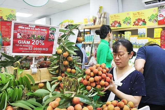 Tăng cường nhiều hoạt động XTTM, phát triển thị trường trong nước cho sản phẩm nông sản Việt