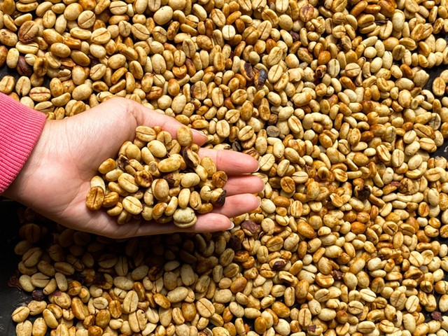 Giá cà phê Robusta cao hơn Arabia - điều chưa từng thấy