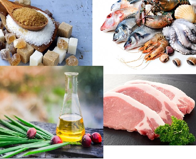 THỊ TRƯỜNG THỰC PHẨM THẾ GIỚI VÀ VIỆT NAM THÁNG 7 NĂM 2025: PHÂN TÍCH VÀ DỰ BÁO