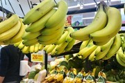 Sản lượng nhập khẩu chuối Việt vào Nhật Bản tăng 14 lần sau 6 năm