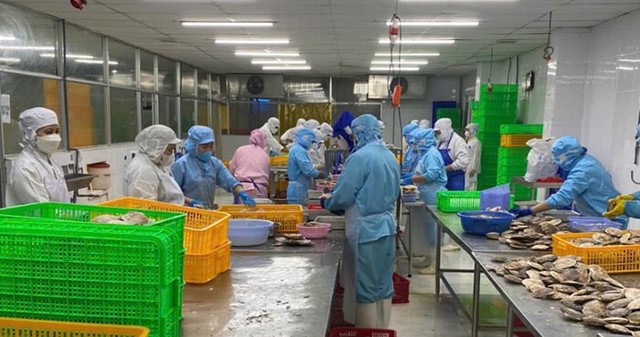 Cơ hội và thách thức cho nông sản Việt trước 'khoảng trống' tại thị trường EU