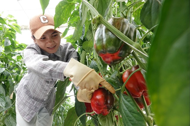 Cơ hội và thách thức đối với nông sản