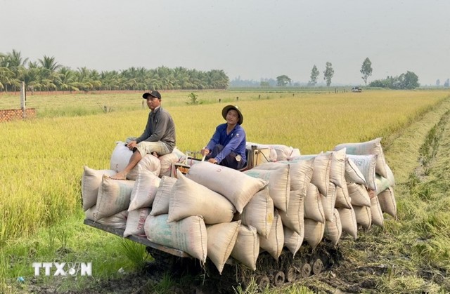 Xuất khẩu nông sản: Khẳng định thương hiệu, hướng đến những kỷ lục mới