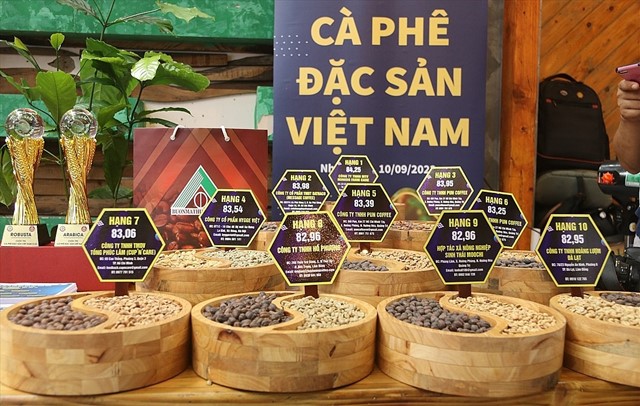 Giá cà phê tăng cao: Cơ hội để HTX nâng tầm bằng cà phê đặc sản Hợp tác xã 