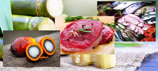 THỊ TRƯỜNG THỰC PHẨM THẾ GIỚI VÀ VIỆT NAM THÁNG 10 NĂM 2025: PHÂN TÍCH VÀ DỰ BÁO