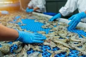 Xuất khẩu tôm 2026: Còn nhiều biến số sau khi đạt kỷ lục năm nay