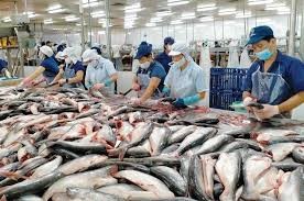 Xuất khẩu cá tra năm 2026 có thể tăng 9%?