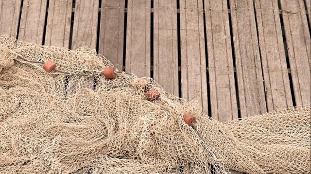 EU công bố hạn ngạch khai thác thủy sản 2026