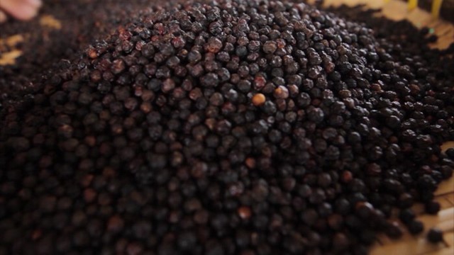 Nguồn cung hạt tiêu toàn cầu được dự báo sẽ giảm trong năm 2026