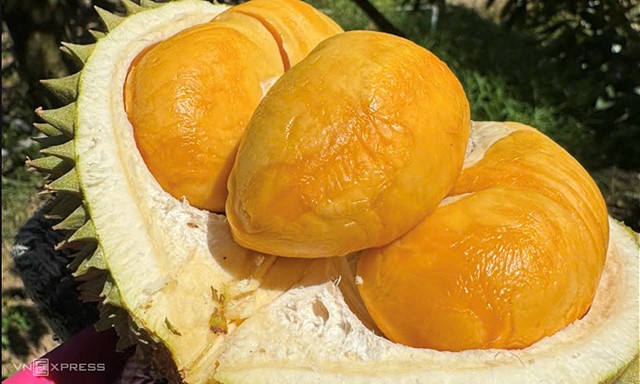 Malaysia chi tiền gấp 5 lần mua sầu riêng Việt Nam