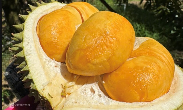 Rau quả Việt tăng trưởng mạnh nhất tại Trung Quốc