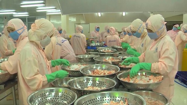 Xuất khẩu thuỷ sản Việt Nam trước áp lực năm 2026