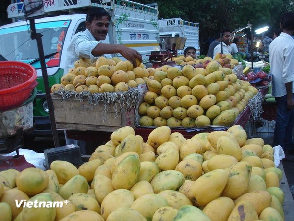 Trái cây Việt Nam xuất hiện nhiều trong giỏ quà Tết tại Trung Quốc