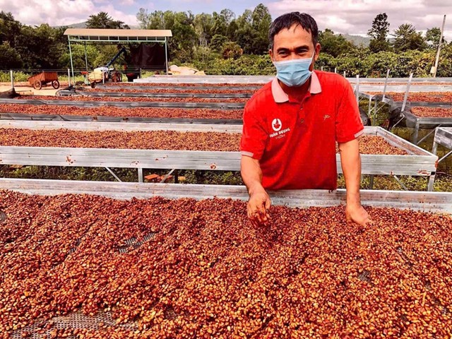 Chuyển dịch sản xuất theo thị trường cà phê đặc sản