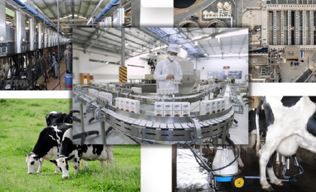 Chiến lược đưa ngành sữa vươn tầm thế giới vào năm 2045